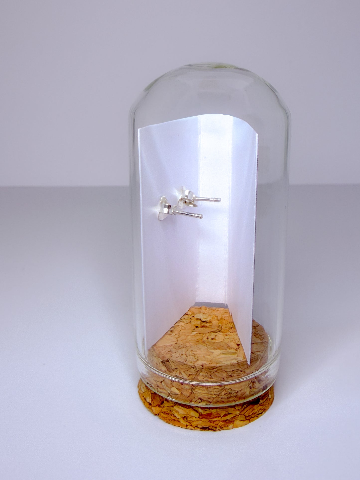 Fish Stud Earrings 'Oh I do like to be beside the seaside.'